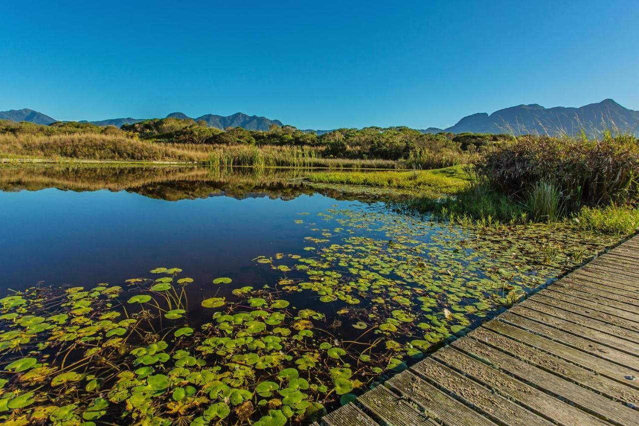 The Manor House At Fancourt Hotel George Luaran gambar